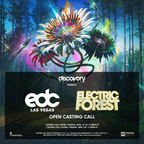 Electric Forest / EDC Vegas Open Casting Call 2017