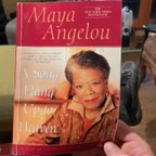 Maya Angelou, "A Song Flung Up to Heaven" read by Brian Gillis.