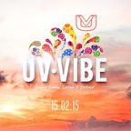 Dj Puffy - UV Vibe T&T Carnival 2015