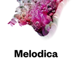 Melodica 1 October 2018 (Heidi Lawden & Lovefingers)