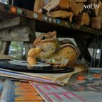 Dougie Boom's Cottage Country Vol. 19