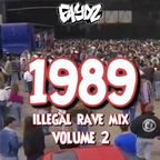 DJ FAYDZ - 1989 Illegal Rave Mix (Vol 2)