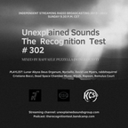 Unexplained Sounds - The Recognition Test. Edition # 302