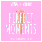 Perfect Moments (w/ Martin Garrix)