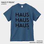 Haus it Feelin' ? -HAUS HAUS HAUS- mixed by Kentaro Takizawa