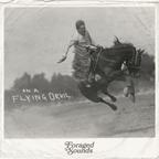 Foraged Sounds - On A Flying Devil (Rural Groove / Psych Folk / Soft Rock Vinyl Only Mix)
