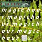 *check out* American Tarragon Magic Hour