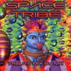 SPACE TRIBE tribute mix by MIR