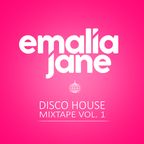 Disco House Mix (Vol. 1)
