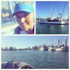 Adventures of a Sailor Girl - Volvo Ocean Race - Auckland In Port Race