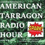 American Tarragon Radio Hour ep. 8 (ambient ii)