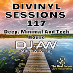 Divinyl Sessions 117 - Deep Minimal And Tech House
