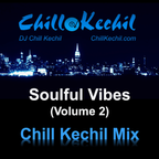 Soulful Vibes (Vol. 2)