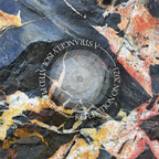 ASIP - Reflection on 2021