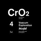 CrO2: Vacuum Exploration