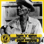 Blues 'n' Roots - Liquid Sunshine@ The Face Radio -Show #128 - 08-11-2022
