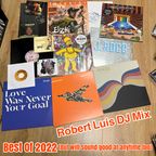 Best of 2022 DJ / Club Tracks DJ Mix by Robert Luis (Tru Thoughts)