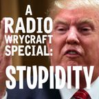 Radio Wrycraft 109 STUPIDITY