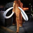 Woolly Mammoth Extinction Event