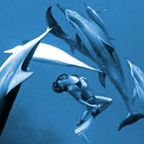 Dance With Dolfins