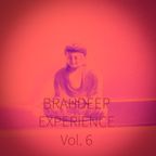 BRADHEEP EXPERIENCE Vol. 6