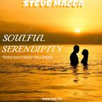 STEVE MACCA'S SOULFUL SERENDIPITY 2