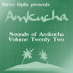 Steve Optix - Sounds of Amkucha Volume Twenty Two
