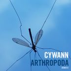 Cywann - Arthropoda