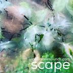 Things I Tell You - scape live on lowercasesounds.com 07.30.23