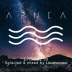 Episode 33 - Selected & Mixed By Licushorescu