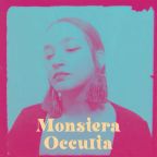 Monstera Occulta - 11.02.24