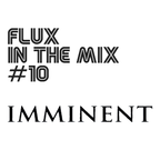 FLUX IN THE MIX #10 - IMMINENT