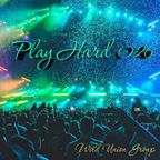 Wild Union Group  - Play Hard 026