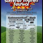 Fourthstate @ Summer Rhythm Festival 2011