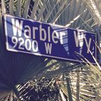 Destructo - Warbler Way Vinyl Set