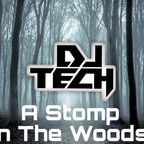 A Stomp In The Woods 3