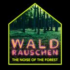 Waldrauschen II The Noise of the Forest mixed by YO! To66L Didi