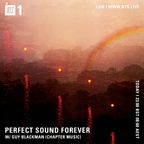 Perfect Sound Forever w/ Guy Blackman (Chapter Music) - 19th September 2019