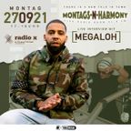 Montags-N-Harmony Vol.11 - Megaloh