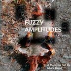 Fuzzy Amplitudes