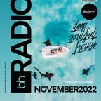 Beachhouse Radio - November 2022 - with Royce Cocciardi