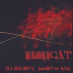 FISHCAT - [MiX] - Ill Society Krashtest @ RCR - 2005