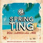 DJ Nate Presents Spring Ting - 2021 Dancehall Bashment Mix
