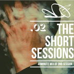 Beatmarshall vol 2. The Short Session mix
