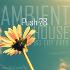 PUSH 28 - BIG-CITY-VIBES - AMBIENT HOUSE