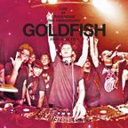 DJ Goldfish Live @ Cravesense 2nd Anniversary 2011