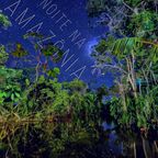 Noite na Amazônia