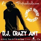 Profoundradio Mix #273 House Music
