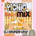 Summer Picnic Mix - DJ Celeste Lear - Remixes/Mashups/House