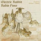 Electric Rabbit 26NOV2023